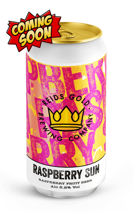 Raspberry Sun 440Ml Beer